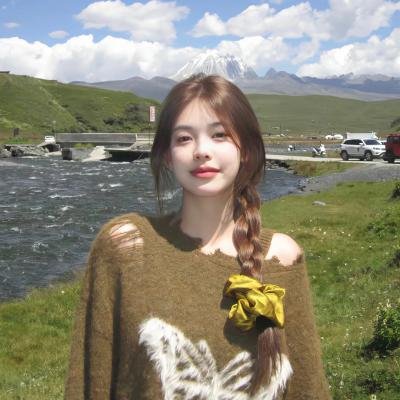 飞鹰艾迪